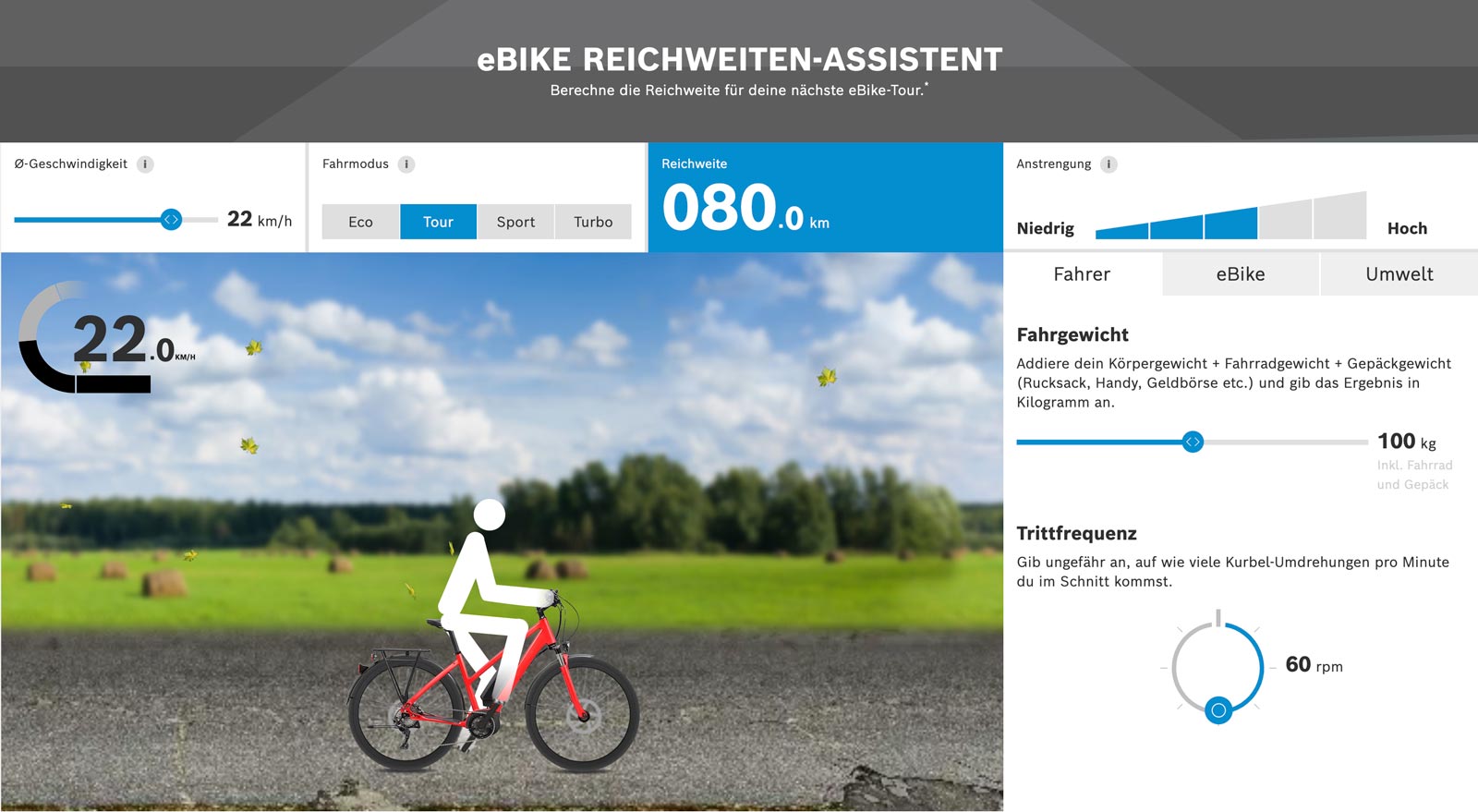 Neuheiten